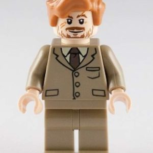 LEGO Professor Remus Lupin