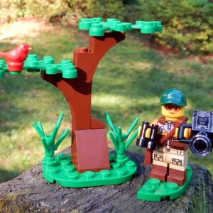 LEGO Birdwatcher Scene