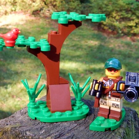 LEGO Birdwatcher Scene