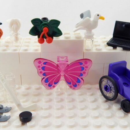 1 Mystery LEGO item