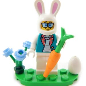 Easter Bunny Dad (everything in photo)