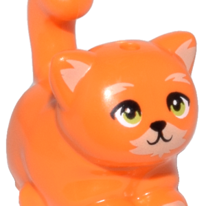 Orange Fat Cat