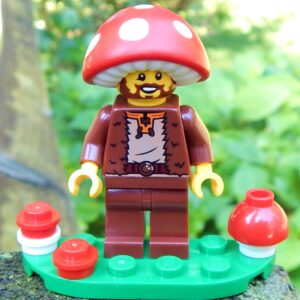 LEGO Mushroom Daddy