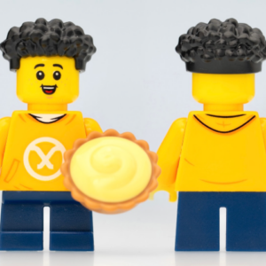 LEGO NINJAGO Young Arin