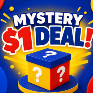 Mystery LEGO Item from Past Dollar Deals